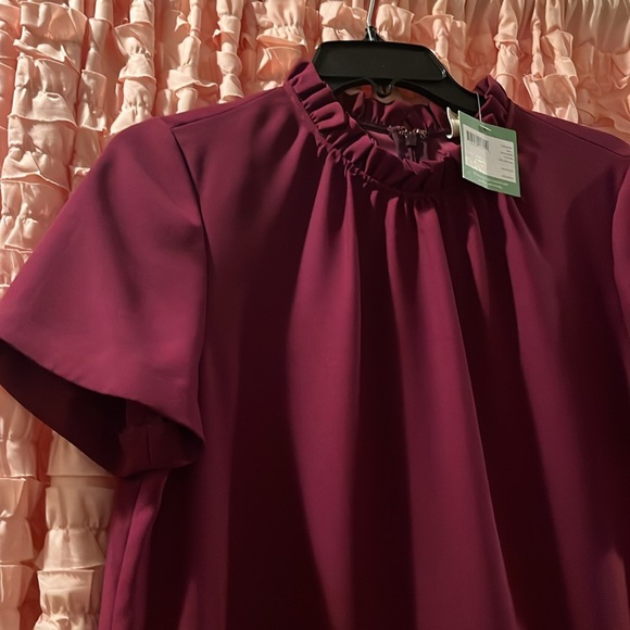 NWT Kate Spade Ruffle Shift Dress Medium in color “Ma Cherie” “My love” - Picture 5 of 12